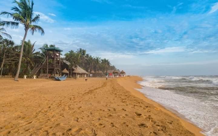 Green Bloom Dehiwala-Mount Lavinia Zewnętrze zdjęcie